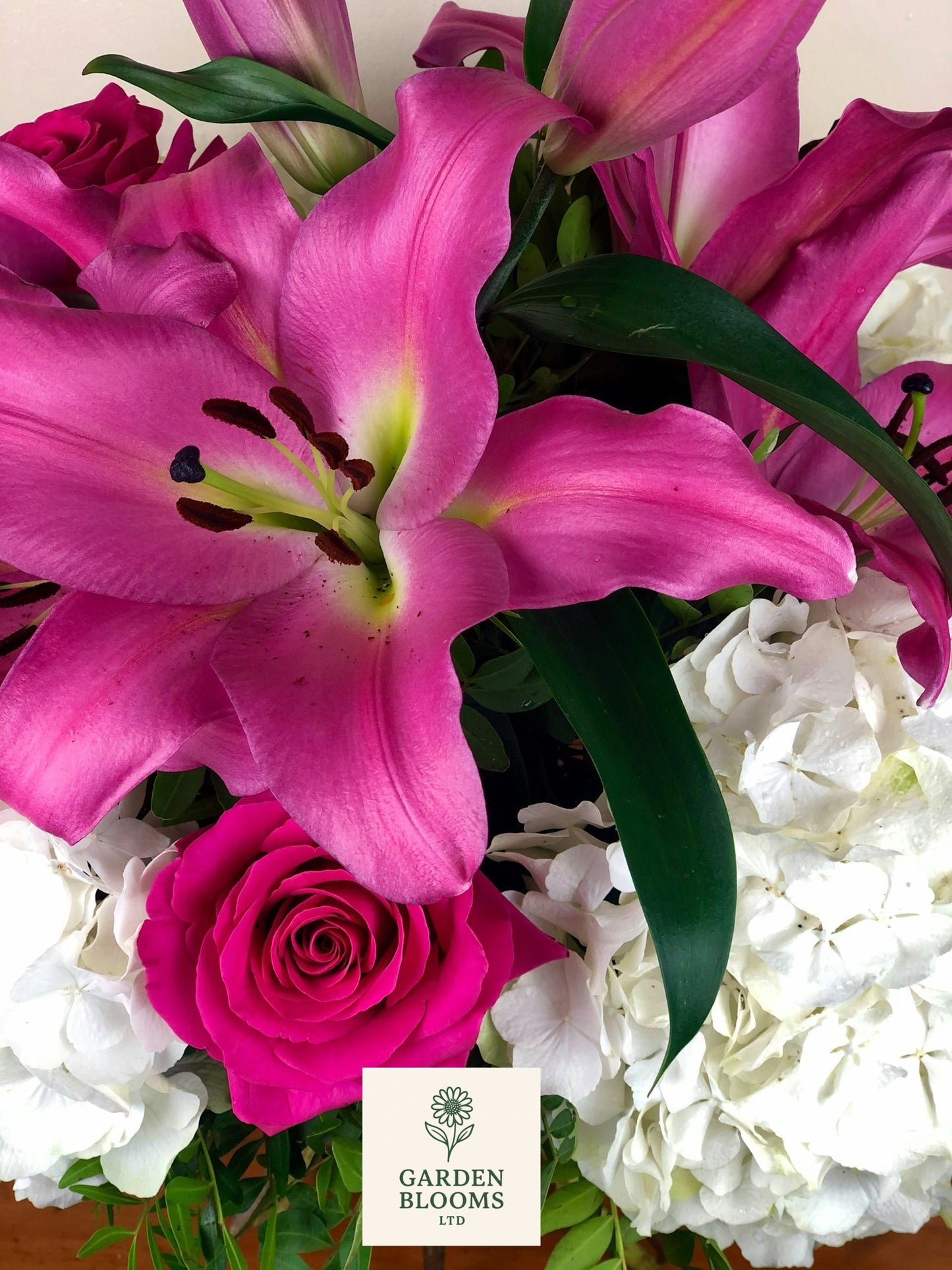 Dream Lilly