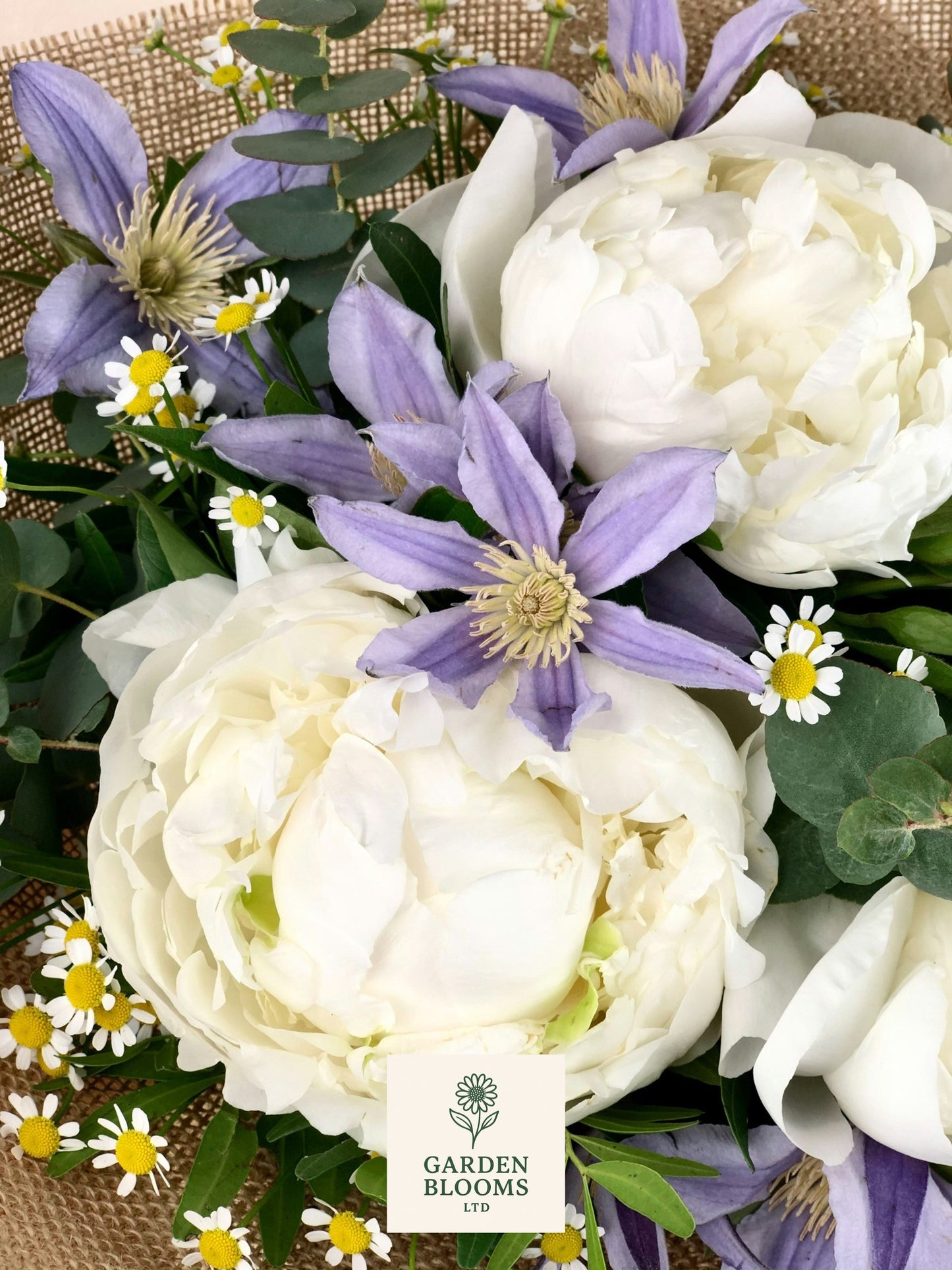 Peony Love