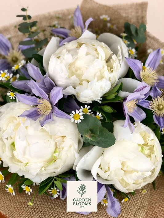 Peony Love